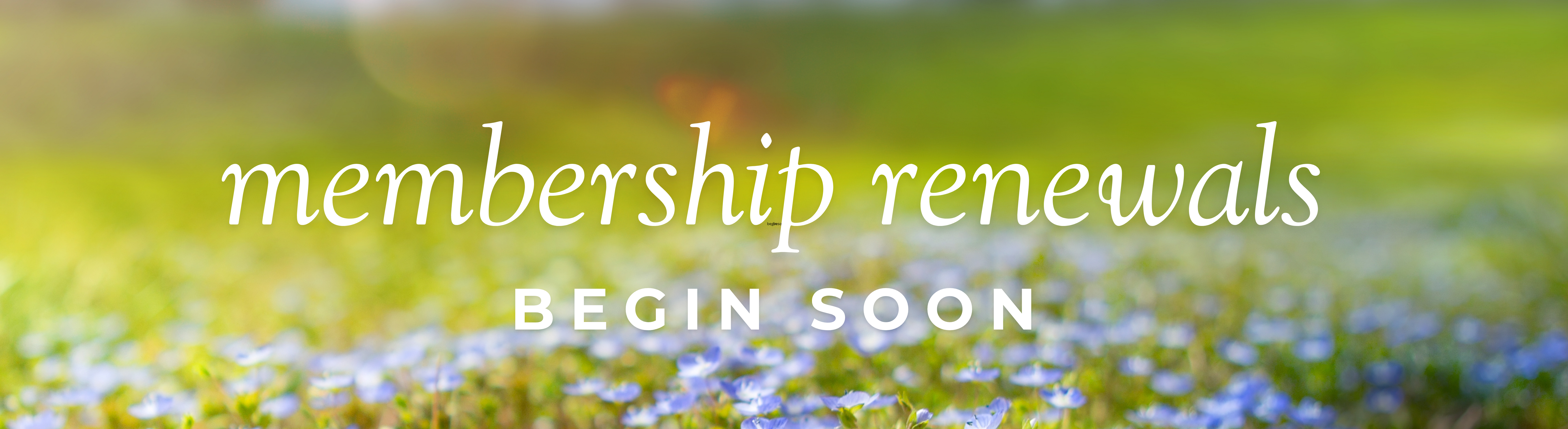 Membership Renewals Begin Soon