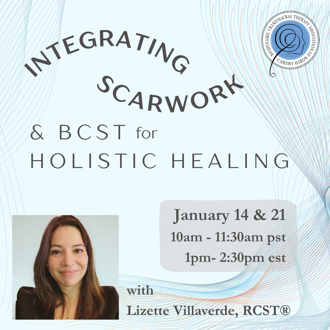 image of Lizette Villaverde listing program details included on page