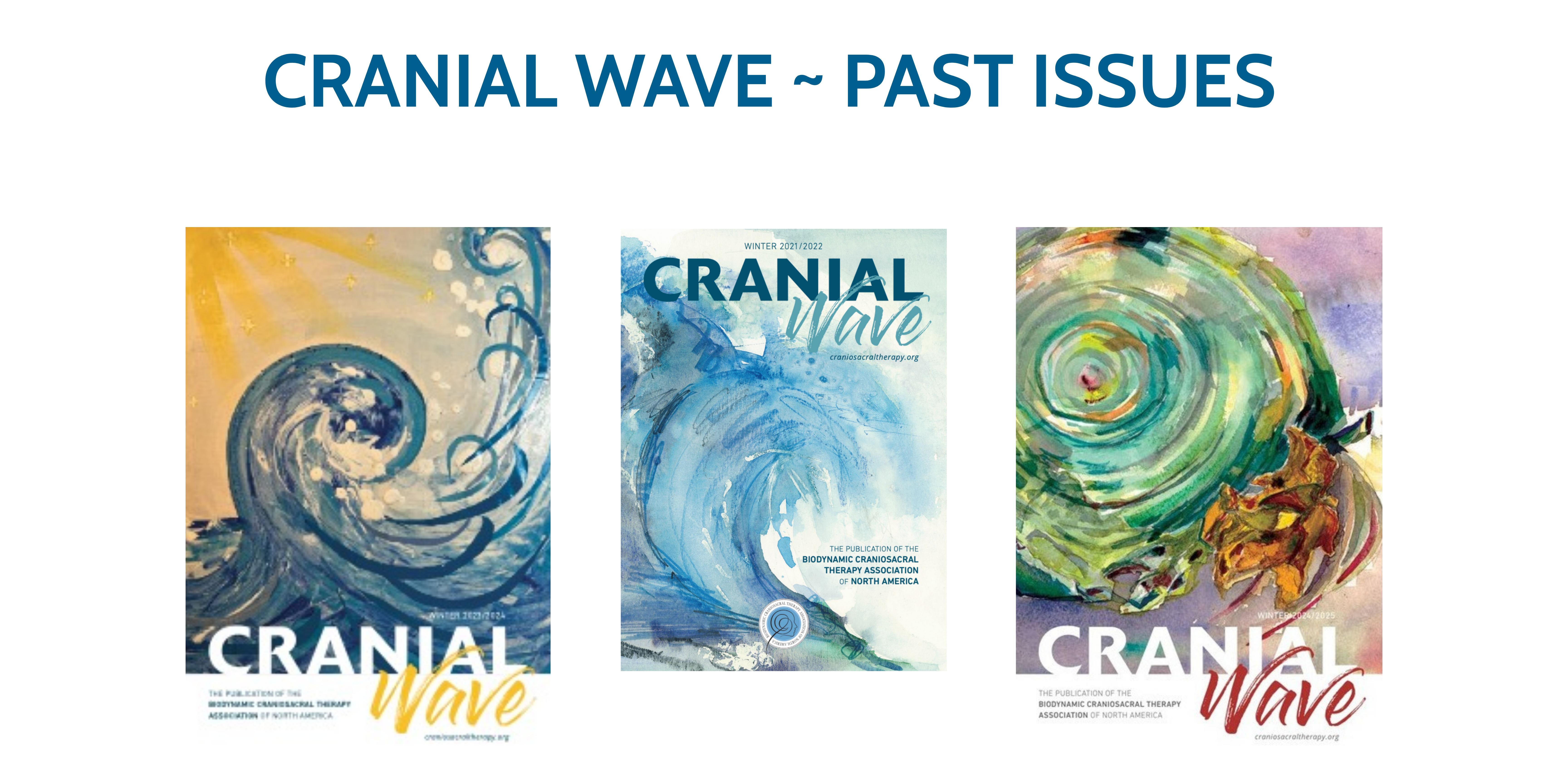 cranial wave past issues banner
