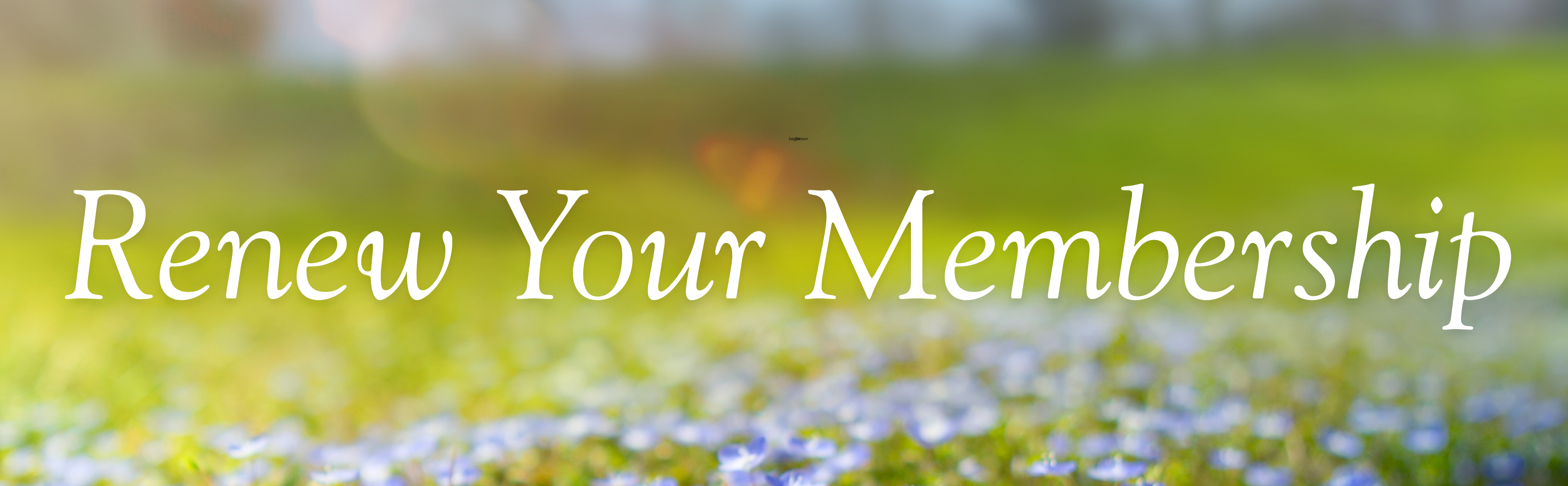 Renew your membership